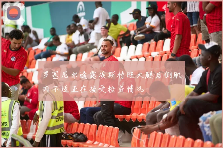 罗塞尼尔透露埃斯特旺大腿后侧肌肉不适正在接受检查情况