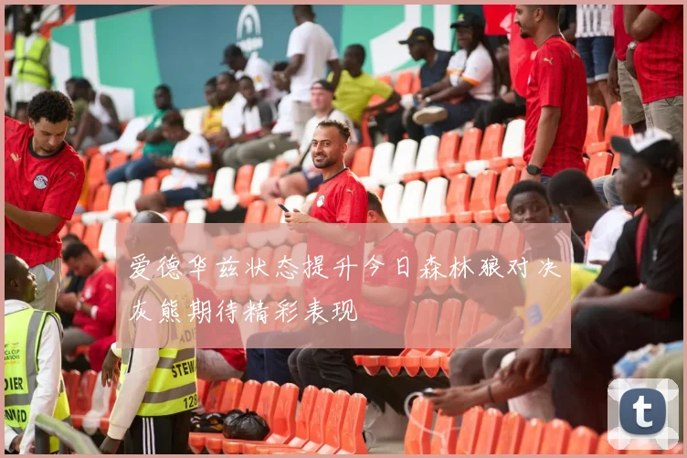 爱德华兹状态提升今日森林狼对决灰熊期待精彩表现