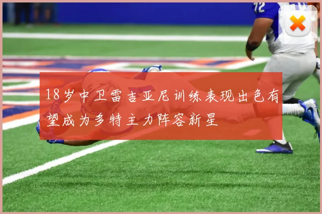 18岁中卫雷吉亚尼训练表现出色有望成为多特主力阵容新星